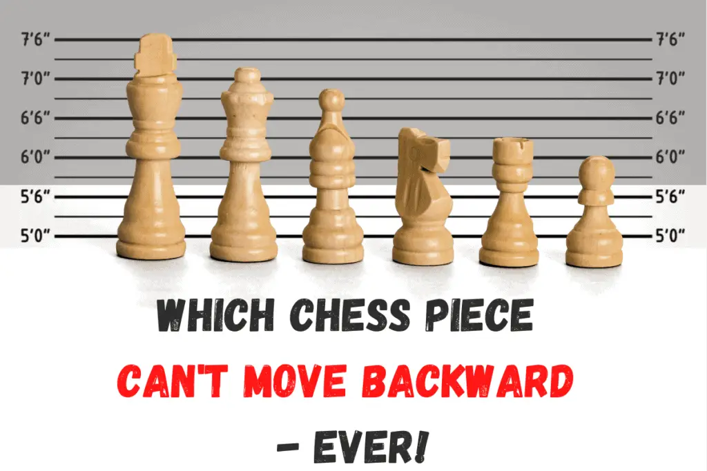 learn-the-correct-names-for-each-chess-piece-a-beginner-s-guide