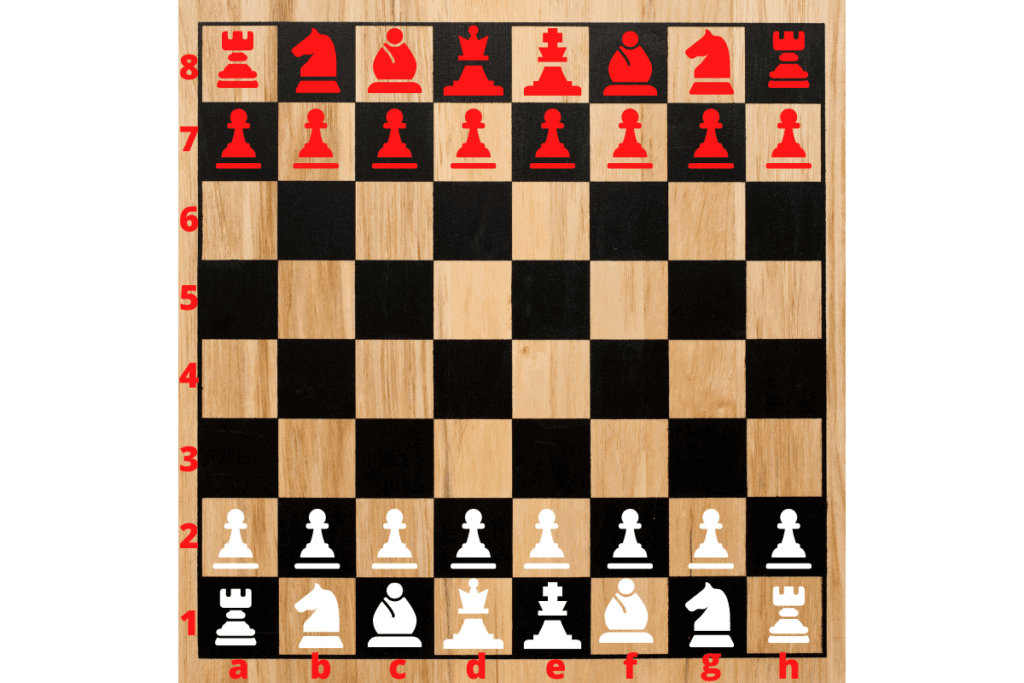 How To Set Up A Chessboard Correctly 6 Simple Steps Chess Questions