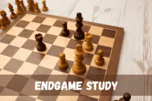 Reasons to study chess endgames