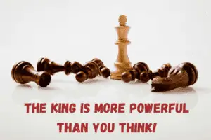 Can a king kill a king or capture and attack in chess