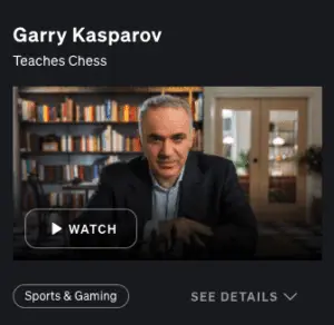 Chess masterclass