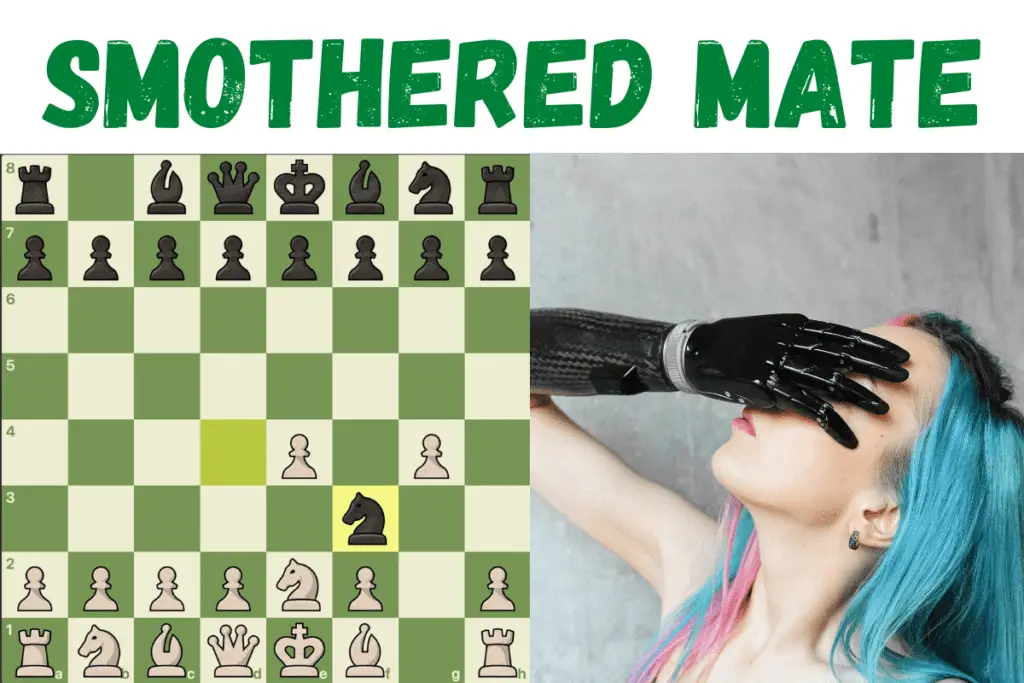 Smothered mate in chess featured image