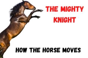 Horses Chess Moves Featured image for article