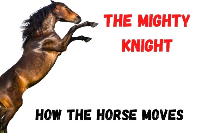 The Horse’s Moves in Chess: The Special Piece