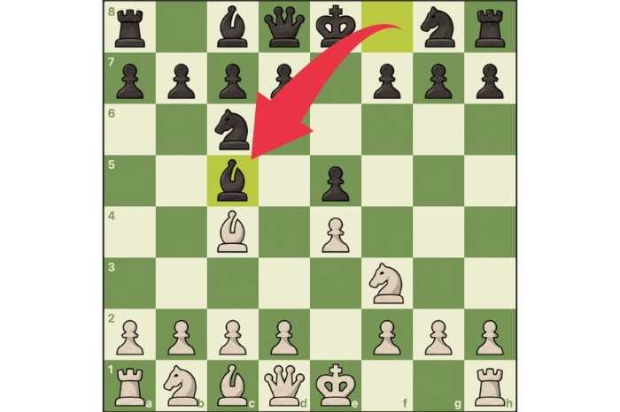 The giuoco Piano in chess is known as the quiet game, this image shows black playing the bishop to c5 on the third move which defines this opening variation of the Italian game