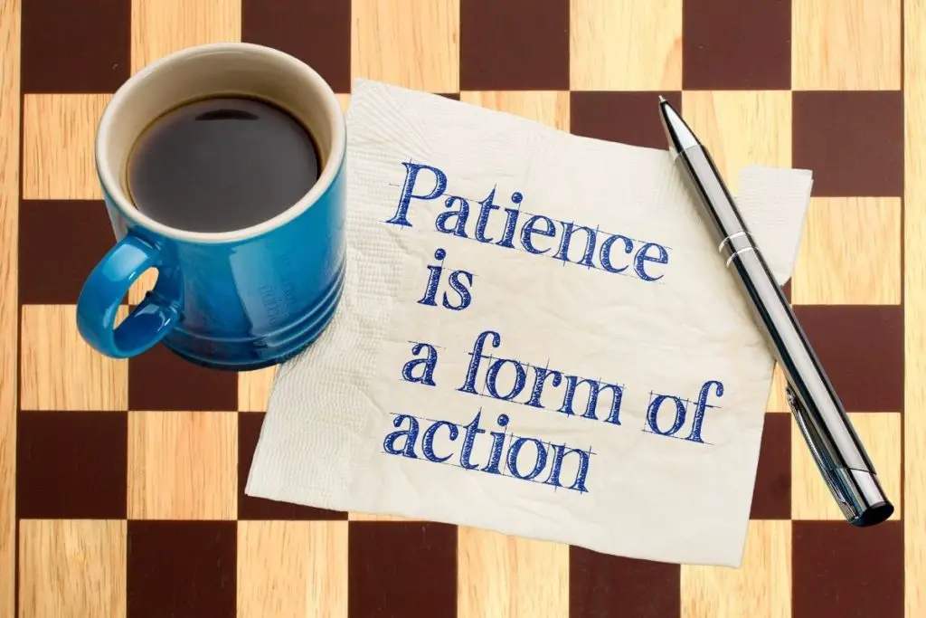 patience is a form of action and as patience and consideration can pay off in chess, so it can in life